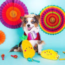 NomNomz - Taco - J & J Pet Club - ZippyPaws