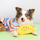 NomNomz - Taco - J & J Pet Club - ZippyPaws