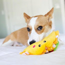 NomNomz - Taco - J & J Pet Club - ZippyPaws