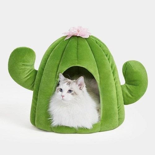 Oasis Cactus Cat Bed & House - J & J Pet Club - Vetreska