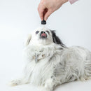 PawDaily Full Spectrum Hemp Health Oil For Dogs - Small 650 g - J & J Pet Club - Pawtanical