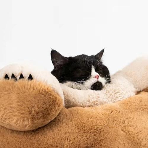 Pet Bed - Papa Bear Type - J & J Pet Club - Pidan