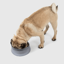 Pet Bowl - "Volcano" - J & J Pet Club - Pidan