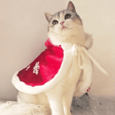 Pet Cloak - Frozen - J & J Pet Club - DR