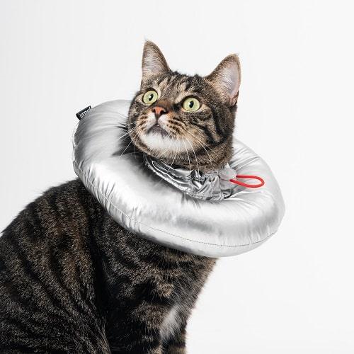 Pet E-Collar, Waterproof Cloth Pillow Type - J & J Pet Club - Pidan
