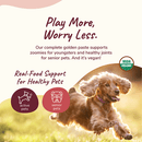 Pet Hip & Joint Supplement - Healthy Hip+Joint (Coconut & Turmeric) - J & J Pet Club - Kin+Kind