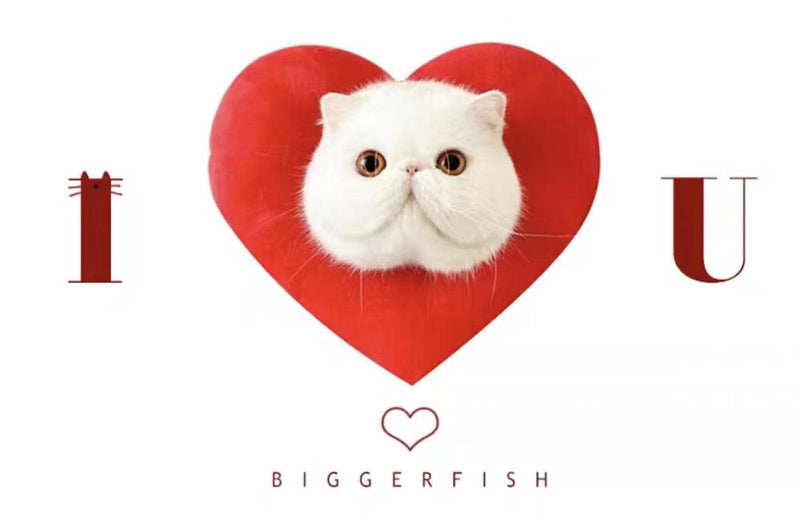 Pet Neck Cone - Red Heart* - J & J Pet Club - Bigger Fish