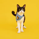 Pet Neckerchief - LF Crossover Cony - J & J Pet Club - Pidan