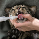 Pet Oral Syringe - J & J Pet Club - Pidan