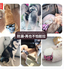 Pet Reusable Diaper - J & J Pet Club - Other