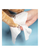 Pet Wet Wipes - 10 bags/ pk - J & J Pet Club - Pidan