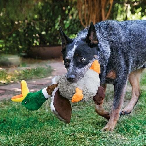 Plush Dog Toy - Shakers - Honkers Duck - J & J Pet Club