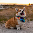 PREMIUM BANDANA - Polygon - J & J Pet Club - Woof Concept