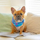 PREMIUM BANDANA - Prism - J & J Pet Club - Woof Concept