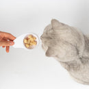 “Q-Spoon” Interactive Cat Food Feeder - J & J Pet Club - Pidan