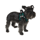 Removable Reflective Patches - 2 pcs - J & J Pet Club - Dogline