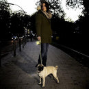 Retractable Leash - New Neon - M Tape 16 ft/5 m - J & J Pet Club - Flexi