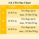 Retractable Leash - New Neon - S Tape 16 ft/5 m - J & J Pet Club - Flexi