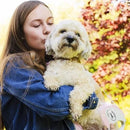 Retractable Leash - Style - M Tape 16 ft/5 m - J & J Pet Club - Flexi