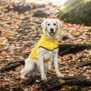 Reversible Raincoat - Yellow - For All Size Dogs - J & J Pet Club - GF Pet