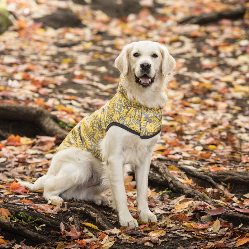 Reversible Raincoat - Yellow - For All Size Dogs - J & J Pet Club - GF Pet