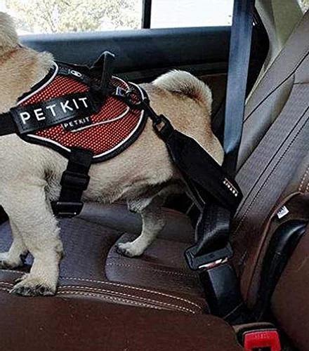 Safety Belt - J & J Pet Club