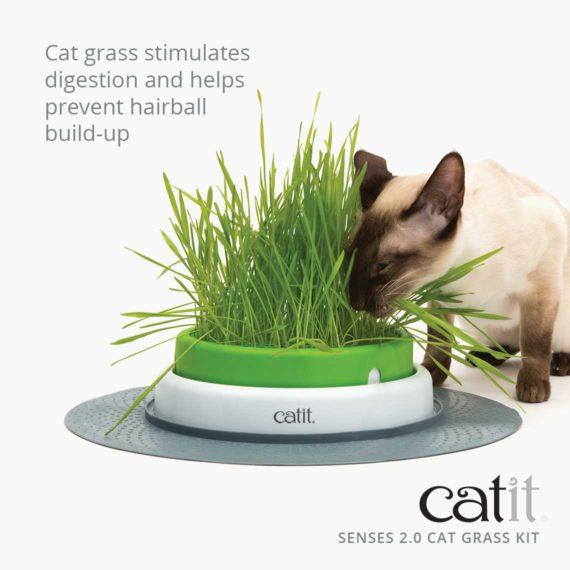 Senses 2.0 - Cat Grass Kit - J & J Pet Club - Catit