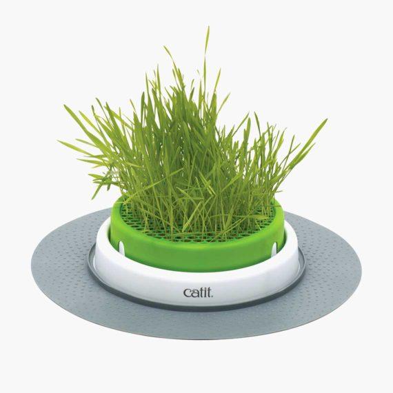 Senses 2.0 - Grass Planter - J & J Pet Club - Catit