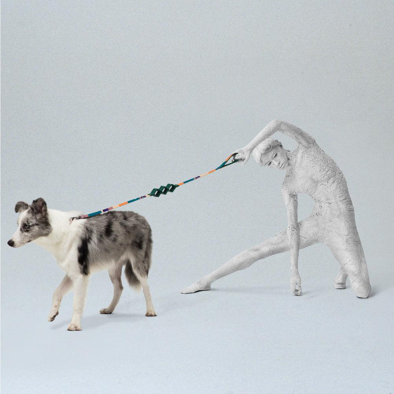 Shock Absorbing Dog Leash, Rhombus-Shaped - J & J Pet Club - Pidan