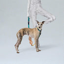 Shock Absorbing Dog Leash - Round Shaped - J & J Pet Club - Pidan