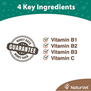 Skin & Coat Care Supplement - Brewers Dried Yeast With Garlic Chewable Tablets (Plus Vitamins) - J & J Pet Club - Naturvet