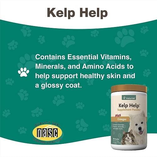 Skin & Coat Care Supplement - Kelp Help Powder (Plus Omegas) - J & J Pet Club - Naturvet