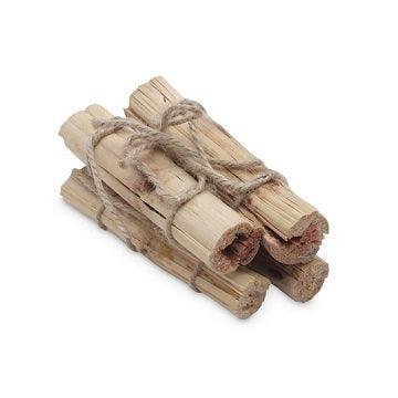Small Animal Chews - Sugarcane Stalk Sticks - 4 pieces - J & J Pet Club - Living World