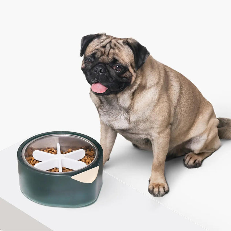 Pug slow feeder 2025