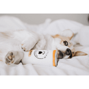 Squeakie Can - Zippy Claw - J & J Pet Club - ZippyPaws