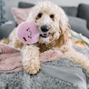 Squeakie Pattiez - Cotton Candy - J & J Pet Club - ZippyPaws