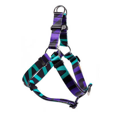 Step-in Harness, IKONIC COLLECTION - Disco 2 - J & J Pet Club - Woof Concept