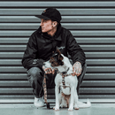 Step-In Harness, IKONIC COLLECTION - Sleestak X Woof Concept - J & J Pet Club - Woof Concept