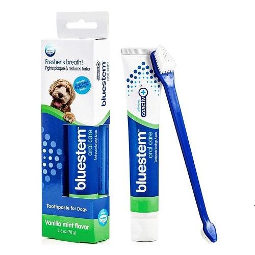 Toothpastes & Toothbrushes For Dogs - Mint Flavor - J & J Pet Club - Bluestem