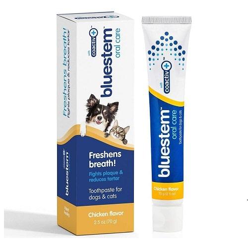 Toothpastes For Dogs & Cats - Chicken Flavor - 70 g - J & J Pet Club - Bluestem