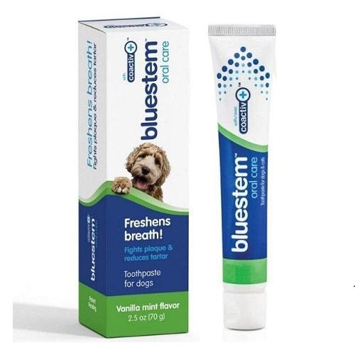 Toothpastes For Dogs - Vanilla Mint Flavor - 70 g - J & J Pet Club - Bluestem
