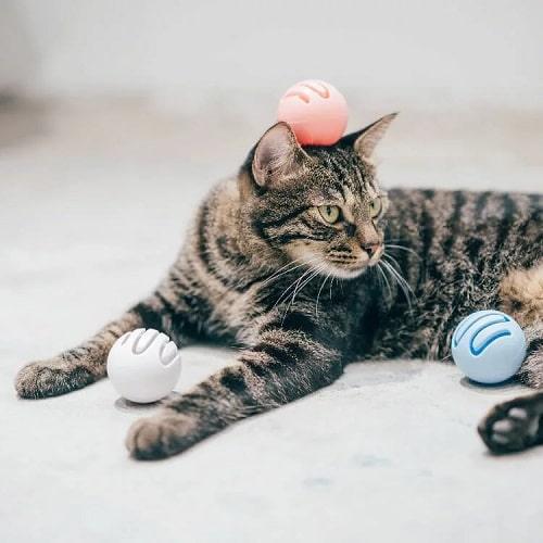 Toy Ball for Cats - J & J Pet Club - Pidan
