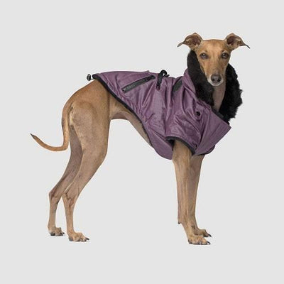 Urban Wax Parka Dog Coat* - J & J Pet Club - Canada Pooch