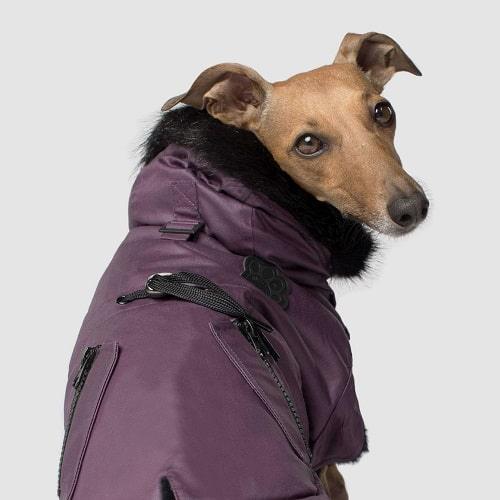 Urban Wax Parka Dog Coat* - J & J Pet Club - Canada Pooch
