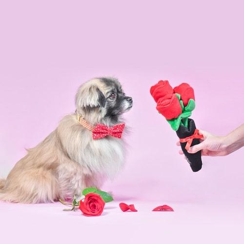Valentine's - Bouquet of Roses - J & J Pet Club - ZippyPaws