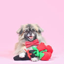 Valentine's - Bouquet of Roses - J & J Pet Club - ZippyPaws