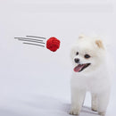 Vivid Color Series Rope Toy for Dogs - J & J Pet Club - LINSLINS