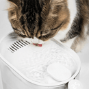 Water Fountain for Cats with Water Temperature Control 2.0, US/CA VERSION - J & J Pet Club - Pidan