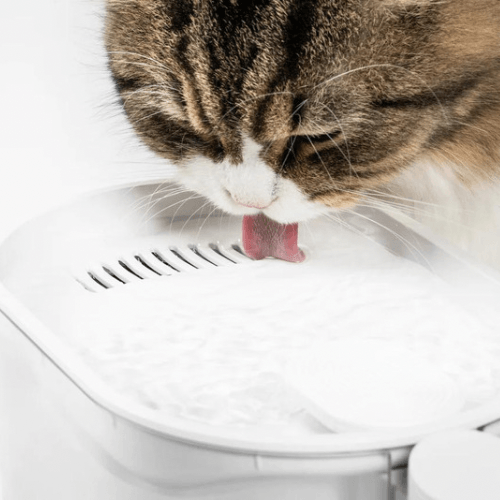 Water Fountain for Cats with Water Temperature Control 2.0, US/CA VERSION - J & J Pet Club - Pidan