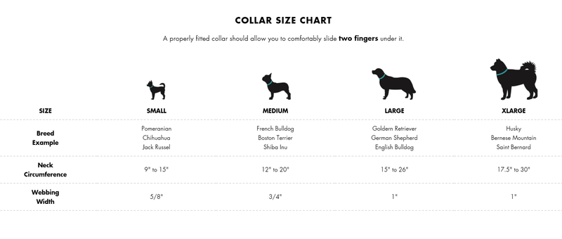 Waterproof Dog Collar - AQUA COLLECTION - Blue Hawaiian - J & J Pet Club - Woof Concept